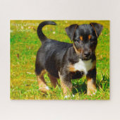 Jack Russell Dog. Legpuzzel (Horizontaal)