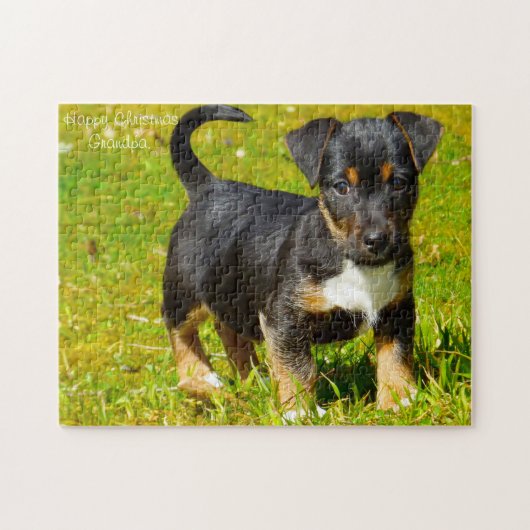 Jack Russell Dog. Legpuzzel (Horizontaal)