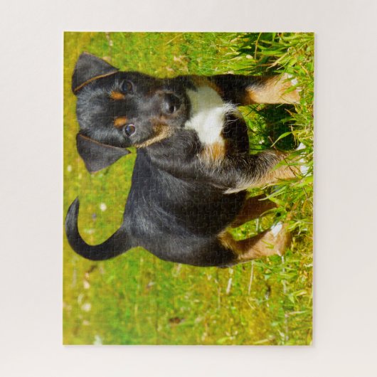 Jack Russell Dog. Legpuzzel (Verticaal)
