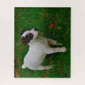 Jack Russell Dog. Legpuzzel (Verticaal)