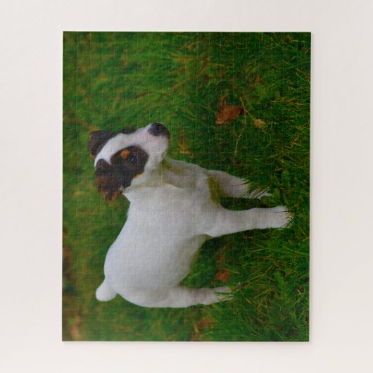 Jack Russell Dog. Legpuzzel (Verticaal)