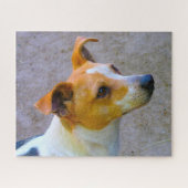 Jack Russell Dog. Legpuzzel (Horizontaal)