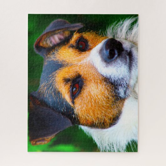 Jack Russell Dog. Legpuzzel (Verticaal)