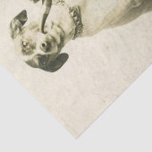  Jack Russell Dog met Pipe-weefselpapier Tissuepapier (Detail)