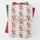 Jack Russell Dog Pattern Christmas Inpakpapier Vel (In situ)