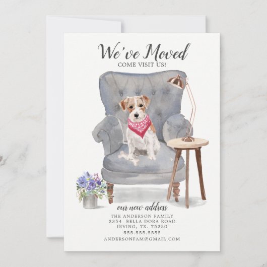 Jack Russell Dog | We hebben de aankondiging van B (Voorkant)