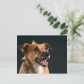 Jack Russell dooder Briefkaart (Staand voorkant)