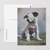 Jack Russell dooder Briefkaart (Voorkant / Achterkant)