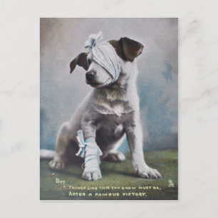 Jack Russell dooder Briefkaart
