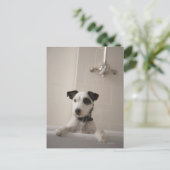 Jack russell doodsbang. briefkaart (Staand voorkant)