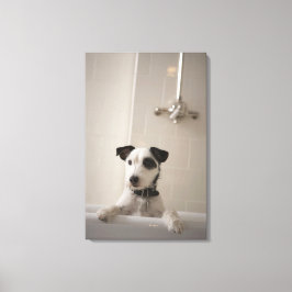 Jack russell doodsbang. canvas afdruk