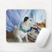 Jack russell doodsbang. muismat (Met muis)