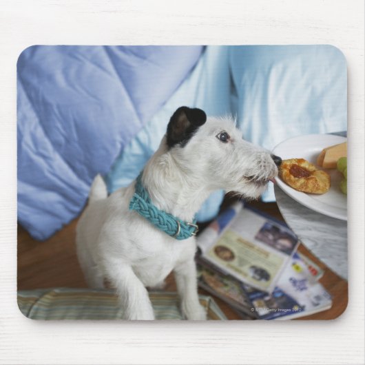 Jack russell doodsbang. muismat (Voorkant)