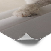 Jack russell doodsbang. poster (Hoek)