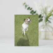 Jack russell doodssprong, verhoogd uitzicht briefkaart (Staand voorkant)
