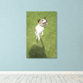 Jack russell doodssprong, verhoogd uitzicht canvas afdruk (Insitu (Houten vloer))