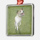 Jack russell doodssprong, verhoogd uitzicht metalen ornament (Links)