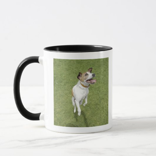 Jack russell doodssprong, verhoogd uitzicht mok (Links)