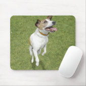 Jack russell doodssprong, verhoogd uitzicht muismat (Met muis)