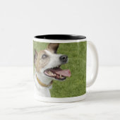 Jack russell doodssprong, verhoogd uitzicht tweekleurige koffiemok (Voorkant rechts)
