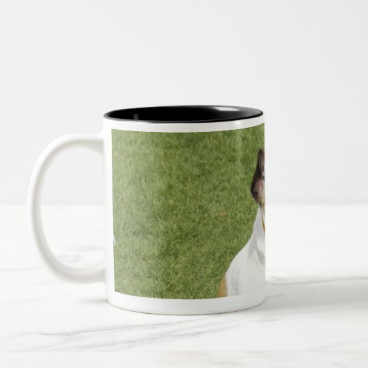 Jack russell doodssprong, verhoogd uitzicht tweekleurige koffiemok (Links)