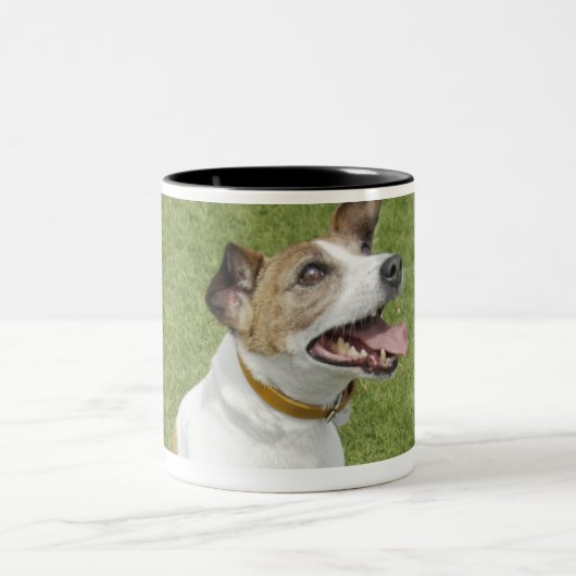 Jack russell doodssprong, verhoogd uitzicht tweekleurige koffiemok (Center)