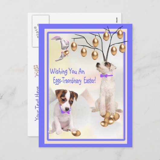 Jack Russell Eggs - Buitengewone paaswensen Feestdagenkaart (Voorkant / Achterkant)
