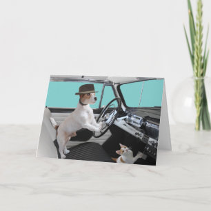 Jack Russell en Cat Driving Classic Car Kaart