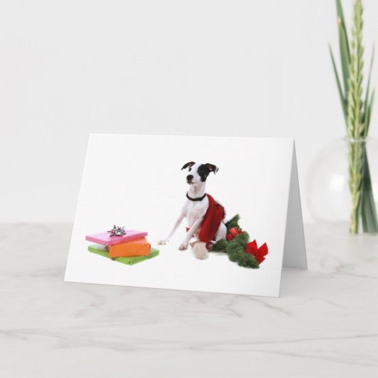Jack Russell en Kerstmis, Feestdagen Kaart (Voorkant)