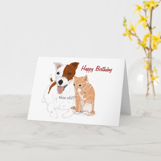 Jack Russell en Kitten Verjaardag Kaart (Gele Bloem)