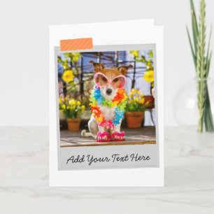 Jack Russell Funny Card Kaart