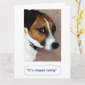 Jack Russell Greetings Card - Montys Bored Kaart (Gele Bloem)