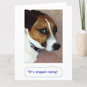 Jack Russell Greetings Card - Montys Bored Kaart