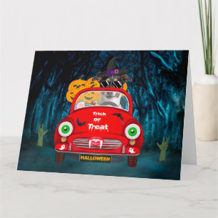 Jack Russell-hond rijdt auto griezelige Halloween Kaart