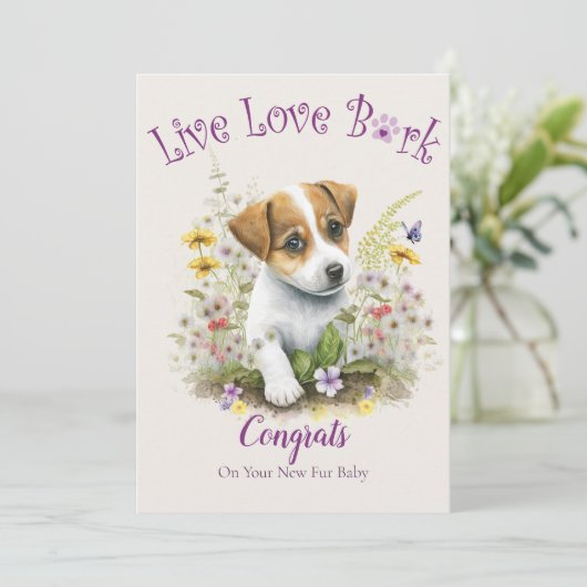 Jack Russell hondenadoptie, Gotcha-dag Kaart (Staand voorkant)