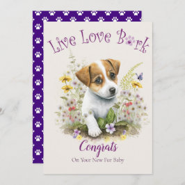 Jack Russell hondenadoptie, Gotcha-dag Kaart