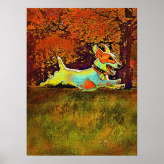 jack russell in bossen in het najaar poster