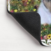 JACK RUSSELL IN DE STROMEN MUISMAT (Hoek)