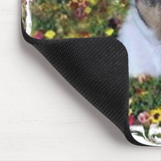 JACK RUSSELL IN DE STROMEN MUISMAT (Hoek)