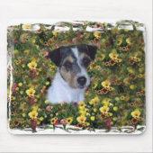 JACK RUSSELL IN DE STROMEN MUISMAT (Voorkant)