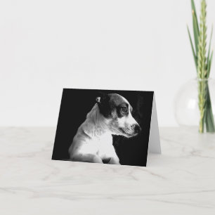 Jack Russell in gedachte Kaart