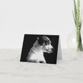 Jack Russell in gedachte Kaart (Voorkant)