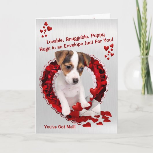 Jack Russell Je hebt Valentijn van Mail Puppy Hugs Feestdagen Kaart (Voorkant)
