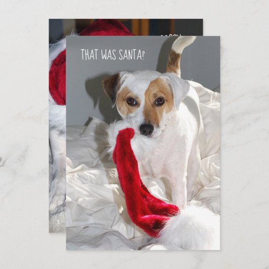 Jack Russell-kerstkaart (Voorkant / Achterkant)