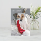 Jack Russell-kerstkaart (Staand voorkant)