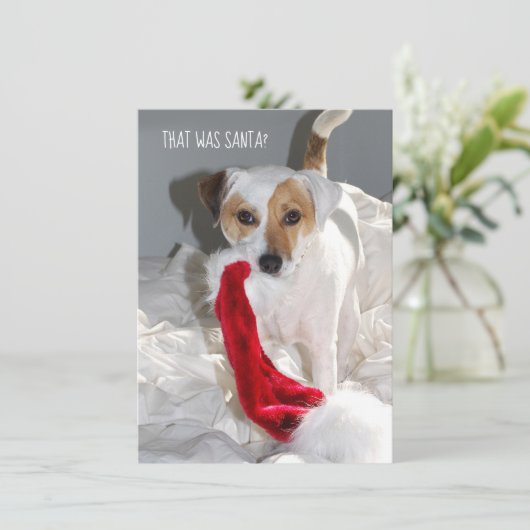 Jack Russell-kerstkaart (Staand voorkant)