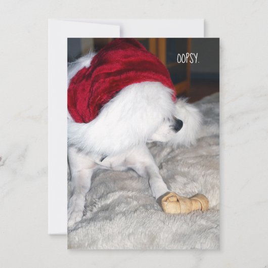 Jack Russell-kerstkaart (Achterkant)