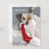 Jack Russell-kerstkaart (Voorkant)
