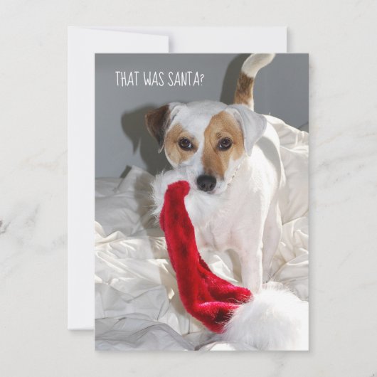 Jack Russell-kerstkaart (Voorkant)