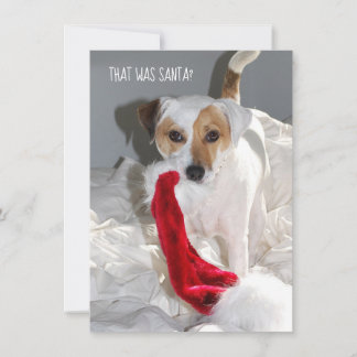 Jack Russell-kerstkaart